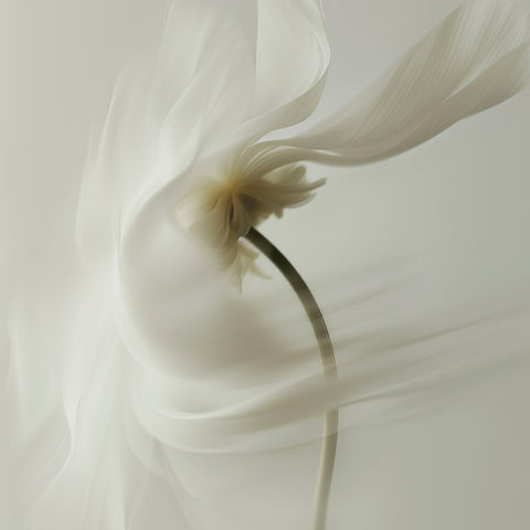 Digital Flower Silk