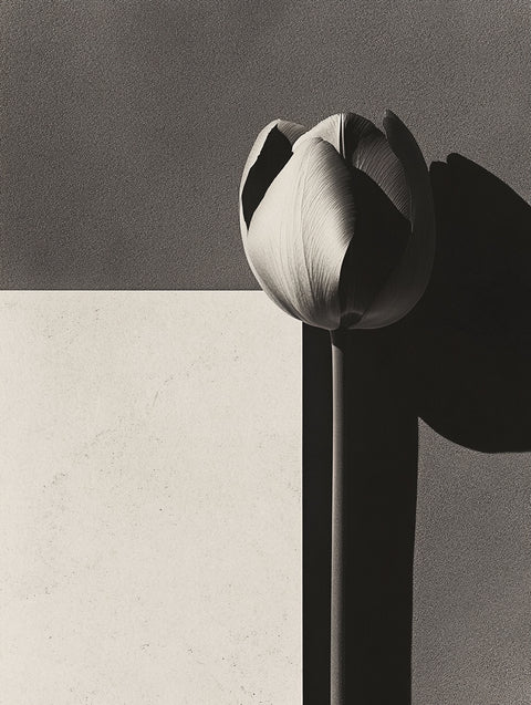 Digital Flower 01.
